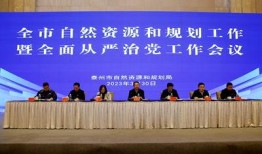 弘阳天悦最新爆料新闻报道,揭秘神秘项目背后的惊人真相